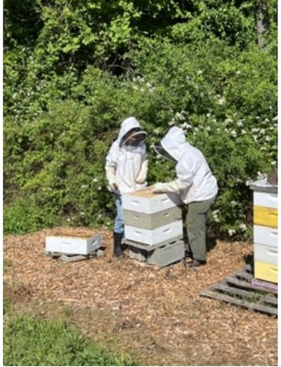 Lilly and Katie at their hive