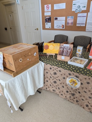 SBA display